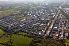 Vue aérienne de Zones résidentielles de banlieue et de périphérie à le quartier Rieselfeld in Freiburg im Breisgau dans le département Bade-Wurtemberg, Allemagne