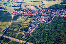 Ellerstadt dans le département Rhénanie-Palatinat, Allemagne d'en haut