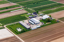 Vue aérienne de Le fermier à Winden dans le département Rhénanie-Palatinat, Allemagne