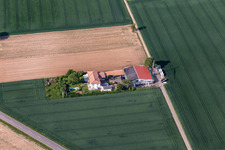 Vue aérienne de Domaine viticole Bioland Neuspergerhof à Rohrbach dans le département Rhénanie-Palatinat, Allemagne