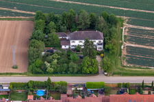 Vue d'oiseau de Quartier Niederlustadt in Lustadt dans le département Rhénanie-Palatinat, Allemagne