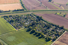 Vue aérienne de Jardin familial Leopoldshafen à le quartier Leopoldshafen in Eggenstein-Leopoldshafen dans le département Bade-Wurtemberg, Allemagne