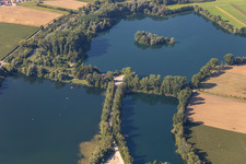 Vue aérienne de Maison des pêcheurs à Neupotz dans le département Rhénanie-Palatinat, Allemagne