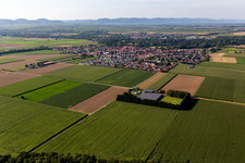 Photographie aérienne de Steinweiler dans le département Rhénanie-Palatinat, Allemagne