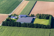 Vue oblique de Steinweiler dans le département Rhénanie-Palatinat, Allemagne