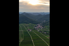 Photographie aérienne de Vignoble et paysage viticole des terroirs viticoles à Leinsweiler dans le département Rhénanie-Palatinat, Allemagne