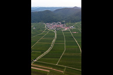 Vue aérienne de Vignoble et paysage viticole des terroirs viticoles à Eschbach dans le département Rhénanie-Palatinat, Allemagne