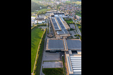 Vue oblique de Locaux de l'usine ARBURG GmbH + Co KG à Loßburg dans le département Bade-Wurtemberg, Allemagne