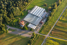 Photographie aérienne de Terre de cactus Steinfeld à Steinfeld dans le département Rhénanie-Palatinat, Allemagne