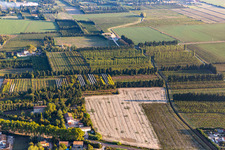 Vue aérienne de Plantations protégées du vent à le quartier Zone Nord-Est Urbaine in Tarascon dans le département Bouches du Rhône, France