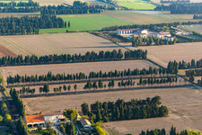 Vue aérienne de Des rangées d'arbres comme protection contre le vent et le mistral en bordure de champ à Saint-Etienne-du-Grès à Saint-Étienne-du-Grès dans le département Bouches du Rhône, France
