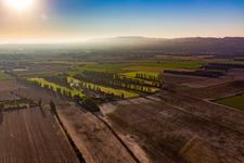 Vue aérienne de Des rangées d'arbres comme protection contre le vent et le mistral en bordure de champ à Saint-Etienne-du-Grès à Maillane dans le département Bouches du Rhône, France