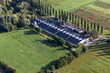 Vue aérienne de Cactus Druck & Verlags-GmbH à le quartier Schaidt in Wörth am Rhein dans le département Rhénanie-Palatinat, Allemagne