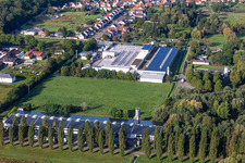 Photographie aérienne de Cactus Druck & Verlags-GmbH à le quartier Schaidt in Wörth am Rhein dans le département Rhénanie-Palatinat, Allemagne