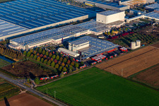 Vue aérienne de Zone commerciale Interpark avec Tricor Packaging & Logistics AG, Prowell Papierbedarf Gmbh à le quartier Offenbach in Offenbach an der Queich dans le département Rhénanie-Palatinat, Allemagne