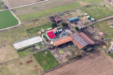 Vue aérienne de Haras Pfalzblick à Hochdorf-Assenheim dans le département Rhénanie-Palatinat, Allemagne