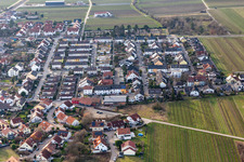 Vue aérienne de Ellerstadt dans le département Rhénanie-Palatinat, Allemagne