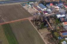 Vue aérienne de Zone commerciale dans le Nauroth. Pneus auto discount à Ellerstadt dans le département Rhénanie-Palatinat, Allemagne