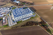 Vue oblique de Centre logistique du Lekkerland Mannheim à le quartier Roxheim in Bobenheim-Roxheim dans le département Rhénanie-Palatinat, Allemagne
