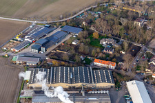 Vue aérienne de Domaine de Petersau à le quartier Mörsch in Frankenthal dans le département Rhénanie-Palatinat, Allemagne