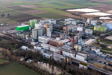 Photographie aérienne de Südzucker AG à Obrigheim dans le département Rhénanie-Palatinat, Allemagne