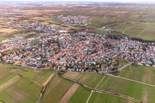 Vue aérienne de Vue de la ville viticole depuis le nord-est à Deidesheim dans le département Rhénanie-Palatinat, Allemagne