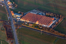 Vue aérienne de TRAVAIL DU MÉTAL à le quartier Mußbach in Neustadt an der Weinstraße dans le département Rhénanie-Palatinat, Allemagne