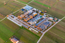Vue aérienne de RLP Agroscience GmbH, Centre de services ruraux DLR Rhin-Palatinat à le quartier Mußbach in Neustadt an der Weinstraße dans le département Rhénanie-Palatinat, Allemagne