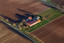 Vue aérienne de Maison de vacances Birkenhof à le quartier Niederlustadt in Lustadt dans le département Rhénanie-Palatinat, Allemagne