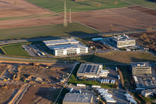 Vue aérienne de Eizo, Groupe MTS, Stagiaire TRANSAC. Speditionsgesellschaft mbH à Rülzheim dans le département Rhénanie-Palatinat, Allemagne