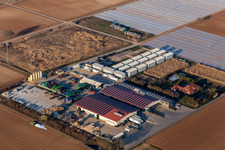 Vue aérienne de Hortulanushof, Stubenbordt GmbH & Co. KG / Dieter Stubenbordt Culture de légumes à Zeiskam dans le département Rhénanie-Palatinat, Allemagne