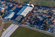 Vue aérienne de Bauer Container Service et Raw Materials GmbH & Co. KG ; Daud Recycling GmbH & Co.KG; Succursale ALBA Electronics Recycling GmbH Lustadt à le quartier Niederlustadt in Lustadt dans le département Rhénanie-Palatinat, Allemagne