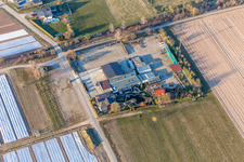 Quartier Niederlustadt in Lustadt dans le département Rhénanie-Palatinat, Allemagne vu d'un drone