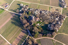 Vue aérienne de Château Saint-Paul à Wissembourg dans le département Bas Rhin, France