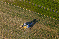 Vue aérienne de Demande de protection des végétaux à Niederlauterbach dans le département Bas Rhin, France