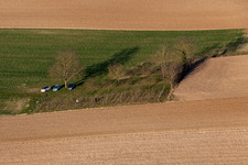 Vue aérienne de Le plus petit vignoble d'Alsace à Niederlauterbach dans le département Bas Rhin, France