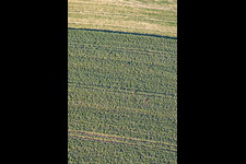Vue aérienne de Jeu sur le terrain à Niederlauterbach dans le département Bas Rhin, France