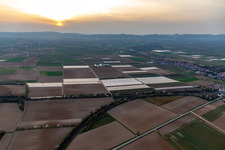 Vue aérienne de Le fermier à Winden dans le département Rhénanie-Palatinat, Allemagne