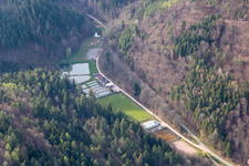 Vue aérienne de Stefan Erber, propriétaire de la forêt palatine de Forellen à Eußerthal dans le département Rhénanie-Palatinat, Allemagne