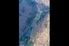Vue oblique de Stefan Erber, propriétaire de la forêt palatine de Forellen à Eußerthal dans le département Rhénanie-Palatinat, Allemagne