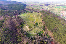 Haardtrand-Wolfsteig à Pleisweiler-Oberhofen dans le département Rhénanie-Palatinat, Allemagne hors des airs