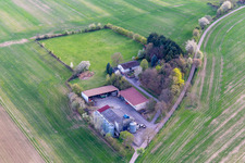 Vue aérienne de Ferme de réinstallation à Dörrenbach dans le département Rhénanie-Palatinat, Allemagne