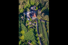 Vue aérienne de Maison d'hôtes Sankt Annagut à Burrweiler dans le département Rhénanie-Palatinat, Allemagne