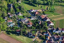 Vue aérienne de Chant des oiseaux à le quartier Weyher in Weyher in der Pfalz dans le département Rhénanie-Palatinat, Allemagne
