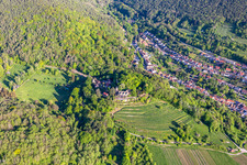 Photographie aérienne de Château de Kropsbourg à le quartier SaintMartin in Sankt Martin dans le département Rhénanie-Palatinat, Allemagne
