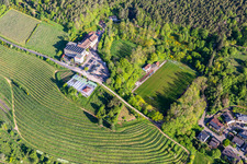 Vue aérienne de Hôtel Haus am Weinberg à le quartier SaintMartin in Sankt Martin dans le département Rhénanie-Palatinat, Allemagne