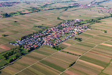 Roschbach dans le département Rhénanie-Palatinat, Allemagne vue du ciel