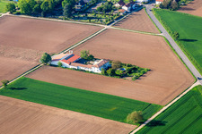 Photographie aérienne de Domaine viticole Bioland Neuspergerhof à Rohrbach dans le département Rhénanie-Palatinat, Allemagne