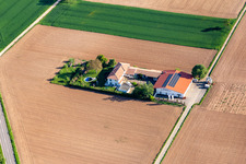 Domaine viticole Bioland Neuspergerhof à Rohrbach dans le département Rhénanie-Palatinat, Allemagne vue d'en haut