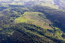 Vue aérienne de Wolfsteig à Pleisweiler-Oberhofen dans le département Rhénanie-Palatinat, Allemagne